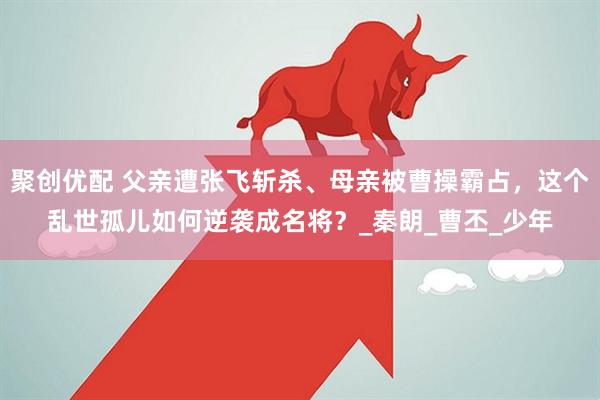 聚创优配 父亲遭张飞斩杀、母亲被曹操霸占，这个乱世孤儿如何逆袭成名将？_秦朗_曹丕_少年
