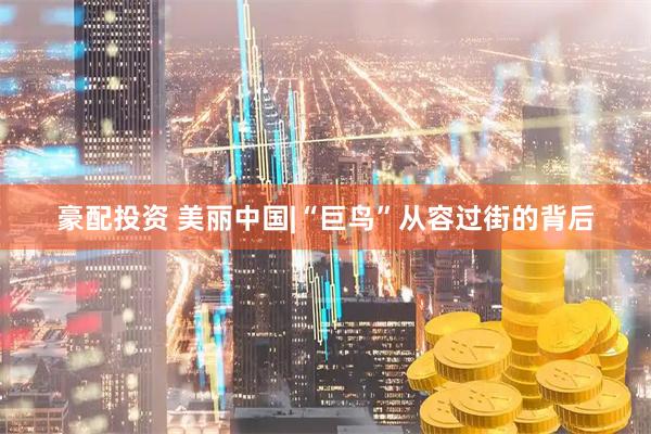 豪配投资 美丽中国|“巨鸟”从容过街的背后