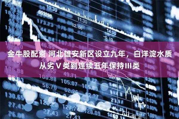 金牛股配资 河北雄安新区设立九年，白洋淀水质从劣Ⅴ类到连续五年保持Ⅲ类