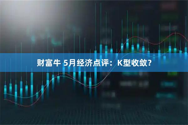 财富牛 5月经济点评：K型收敛？